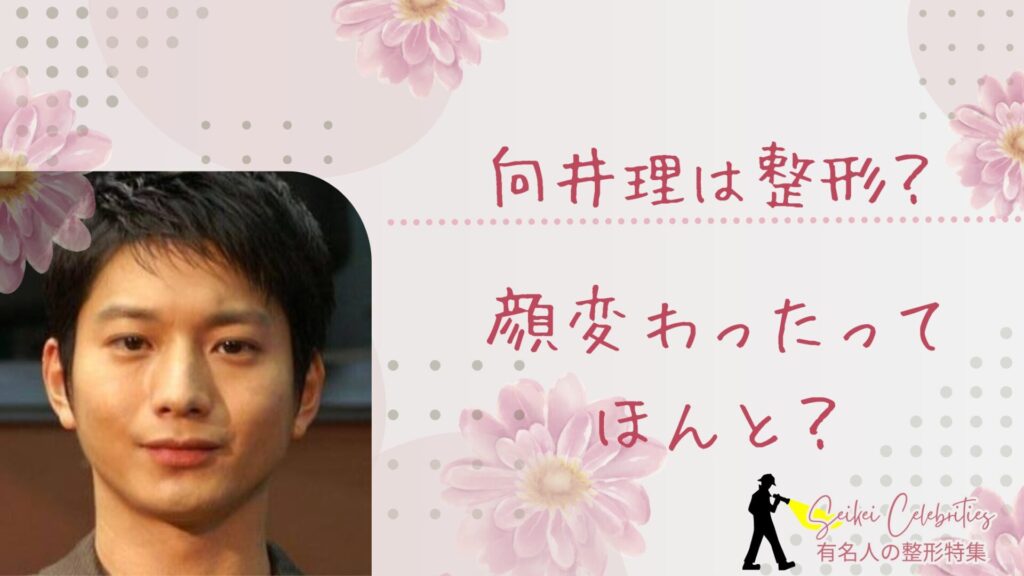 向井理は整形してる？顔が変わったのか画像比較で検証！