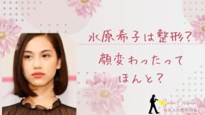 水原希子は整形してる？顔変わったのか画像比較で検証！