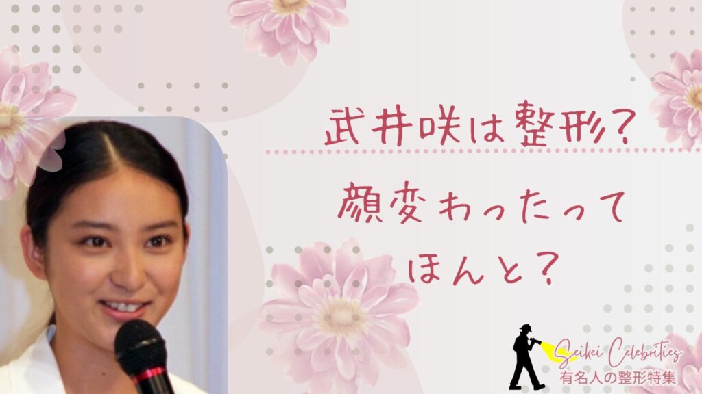 武井咲は整形してる？顔変わったのか画像比較で検証！