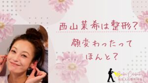 西山茉希は整形してる？顔変わったのか画像比較で検証！